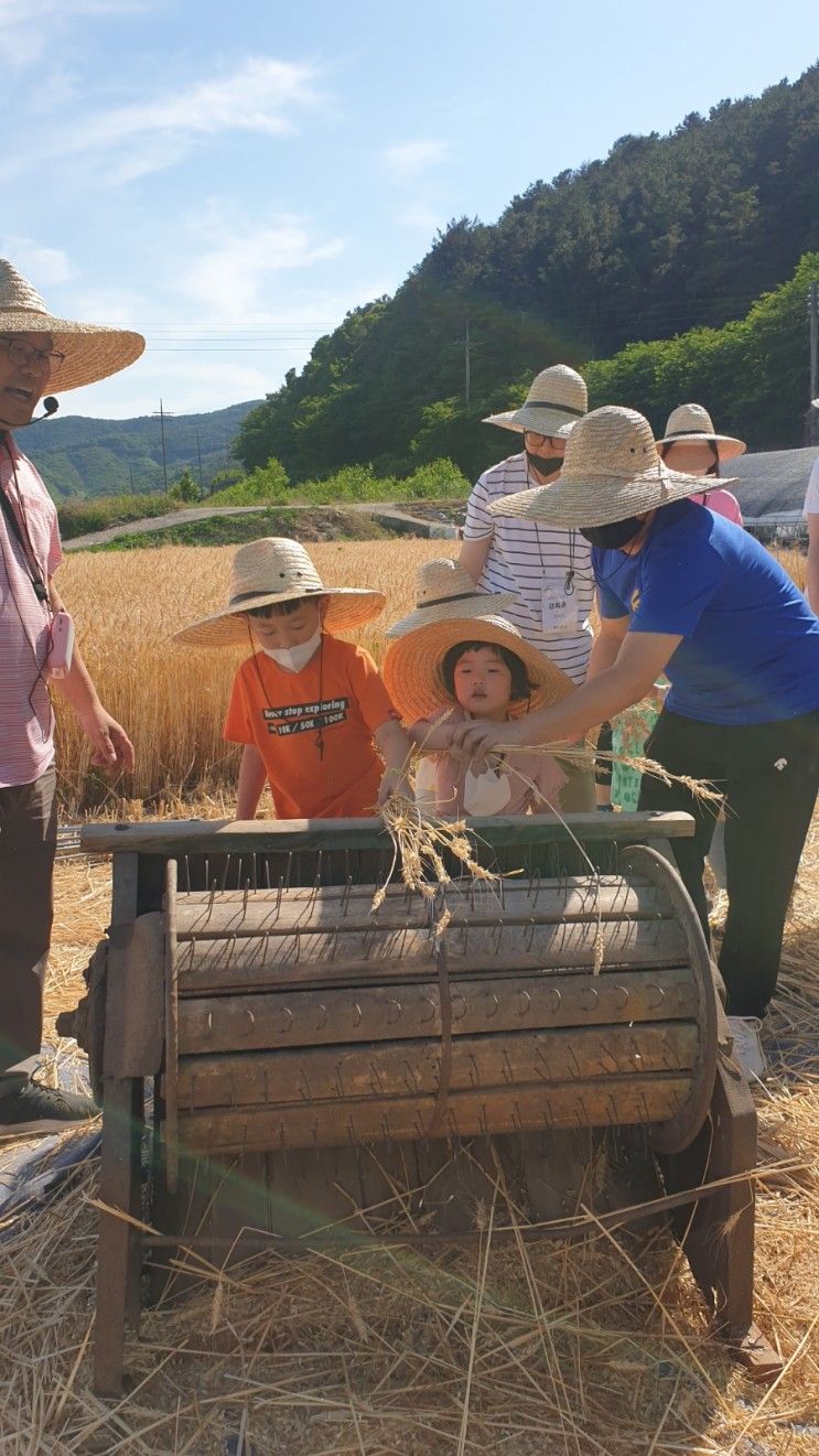 경남 진주) 아이들과 우리밀체험장 다녀왔어요. 피자만들기...