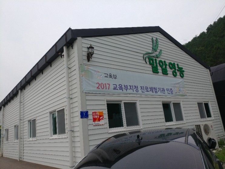 진주 금곡 우리밀체험.피자.쿠키만들기/밀알영농