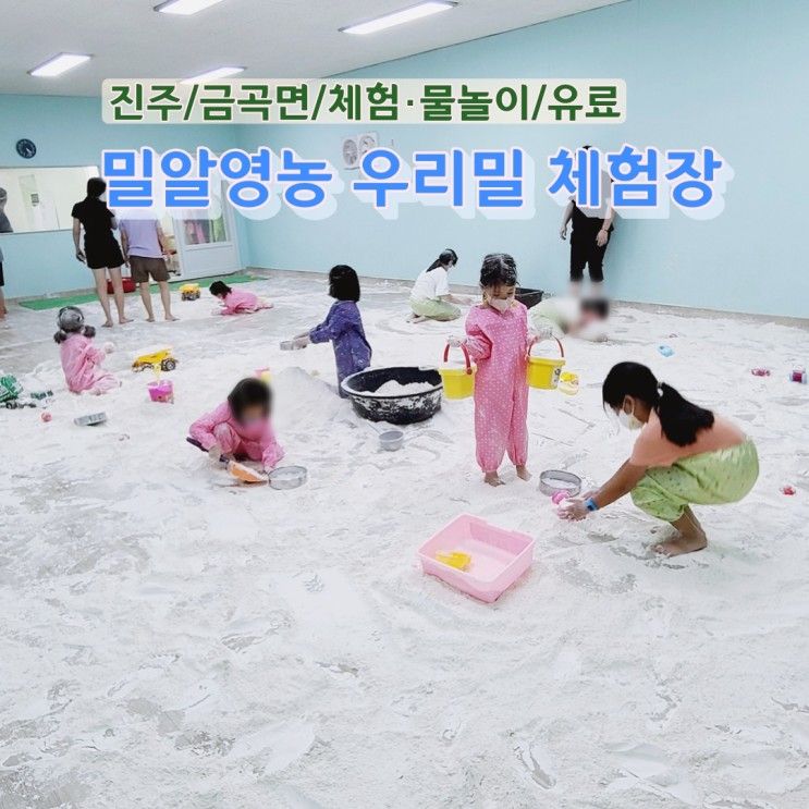 [진주 아이랑 갈만한 곳] 금곡 밀알영농 우리 밀 체험장