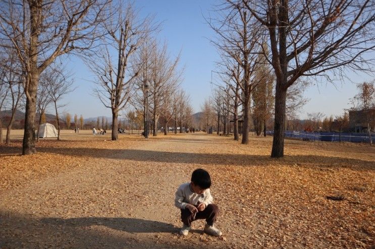 여주아이랑가볼만한곳:가을에 가볼만 한 강천섬유원지