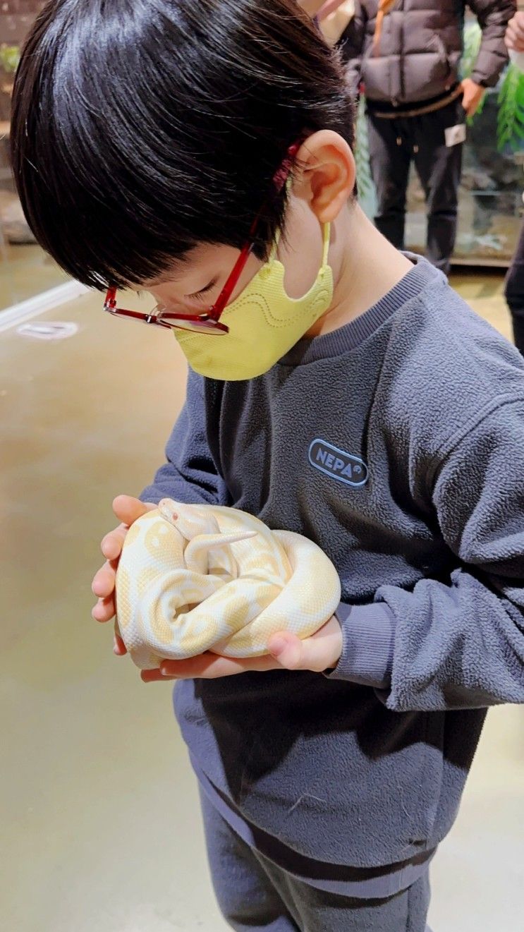 홍대 실내동물원 테이블에이 아이와 가기 좋은 곳... 