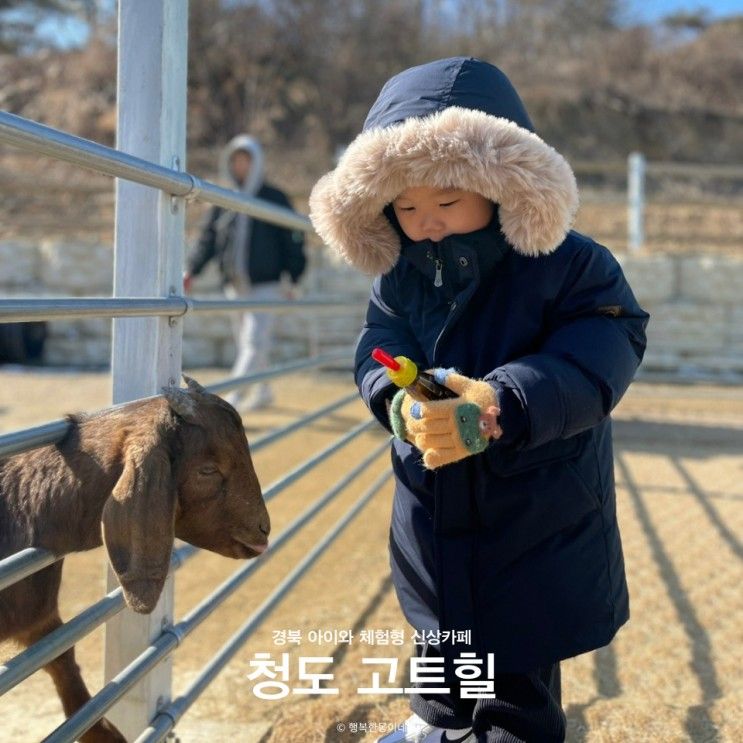 체험형 신상 이색체험 청도카페 고트힐