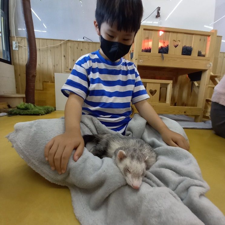 인천 송도 아이와 가볼만한곳... 수 있는 실내동물원 카페 마리앤쥬