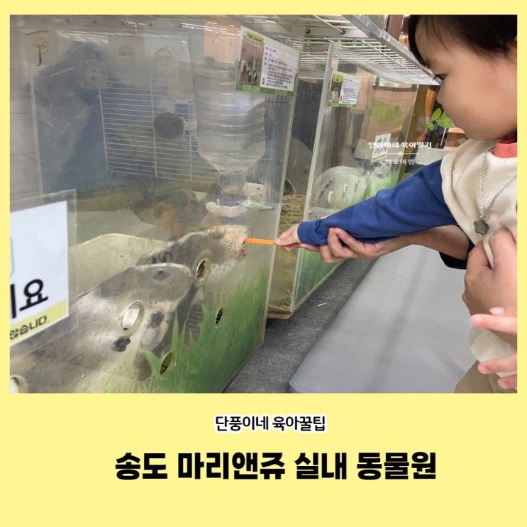 인천 송도 마리앤쥬 15개월 아기랑 갈만한 곳 추천 실내 동물원