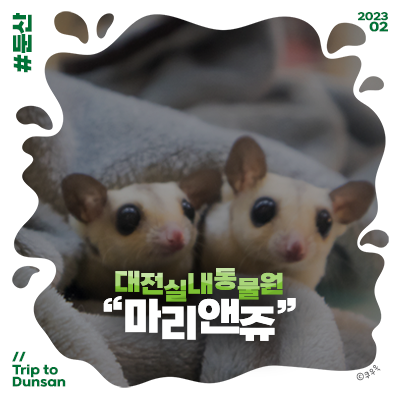 대전 실내동물원 아이와 갈만한 곳 둔산동 동물카페 마리앤쥬