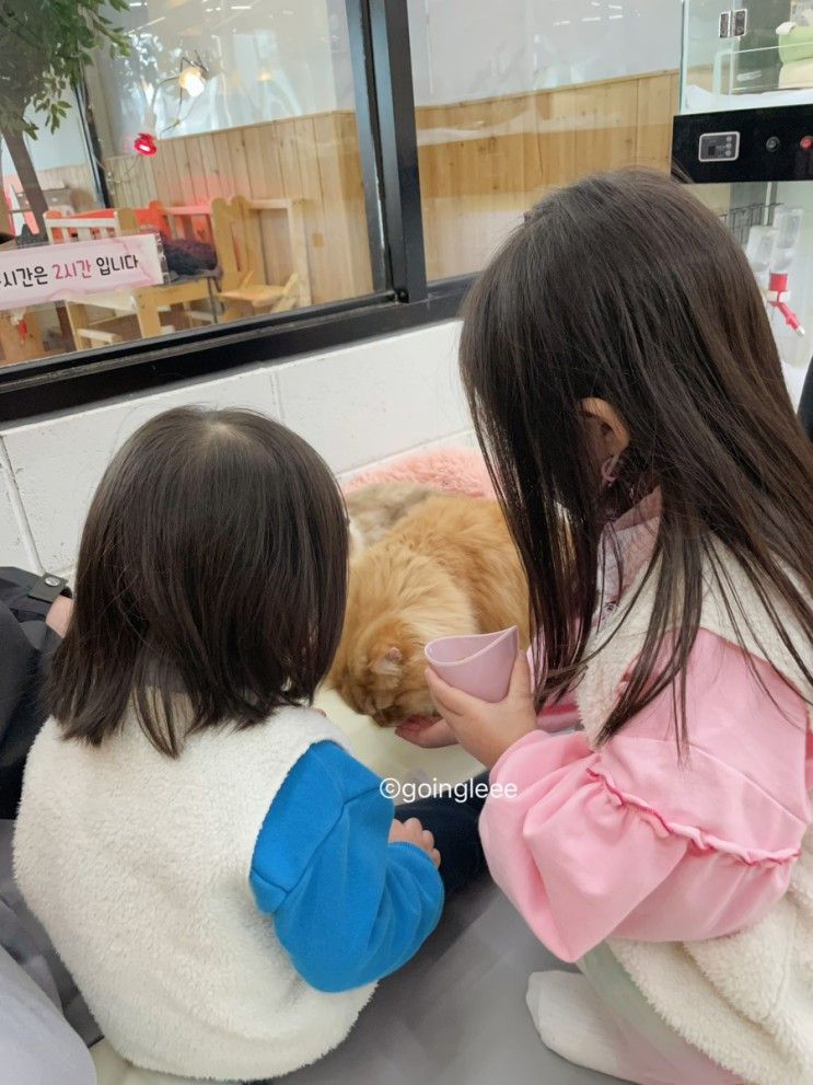 송도 마리앤쥬 방문 후기 / 인천 실내동물원