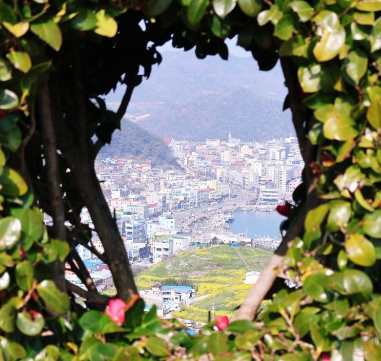 약산해안치유의숲 완도타워 명사십리해수욕장 완도수목원...