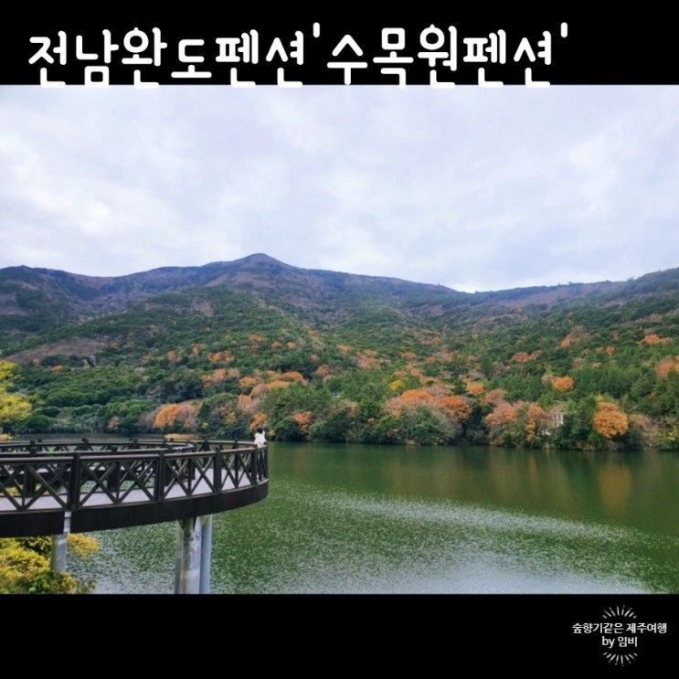 [완도펜션] 전남 완도여행 가성비숙소 완도 수목원 펜션