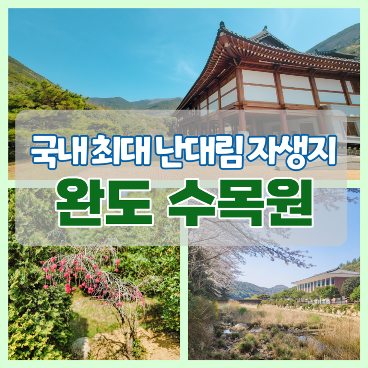 완도 수목원 가족과 연인이 산책하기 좋은 힐링 여행지 (국내...