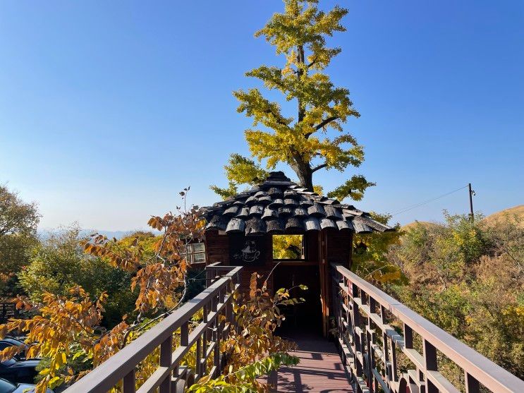 산과구름아래 - 대구 근교 아이들과 가기 좋은 카페, 창녕 카페