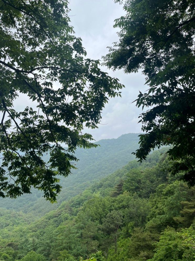 창녕 번지없는주막 칼국수 , 창녕 산과구름아래 샐러드샌드위치