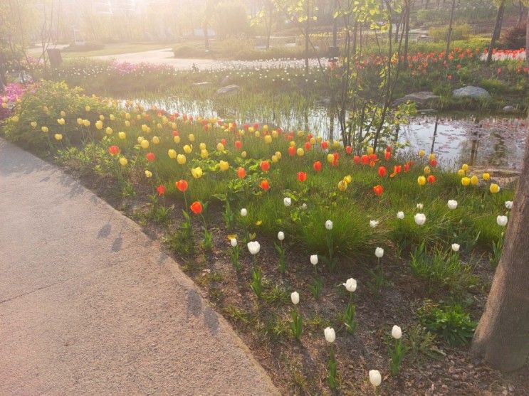 가족끼리 산책하기 좋은 마곡 서울식물원 나들이 가요.