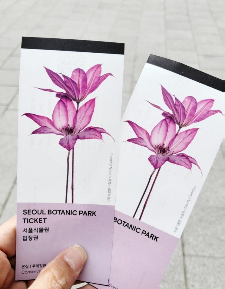 서울식물원, 그리고 겹벚꽃.