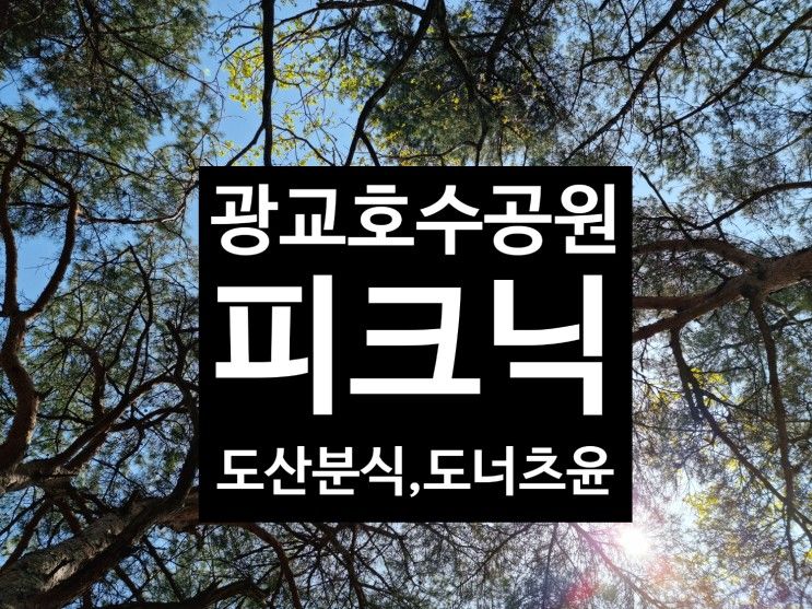 광교호수공원 피크닉 메뉴추천 (feat.도산분식, 도너츠윤)