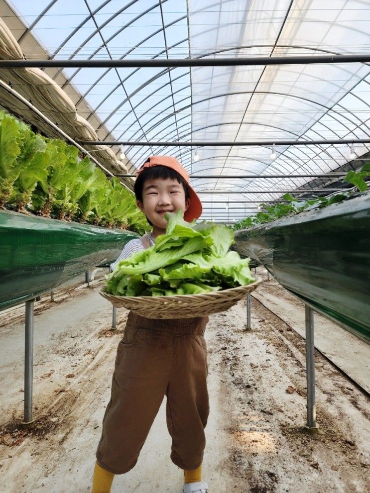 5세 아이와함께:) 가기좋은 체험농장 경기도 평택 삼촌농장 아이와 가볼만한곳