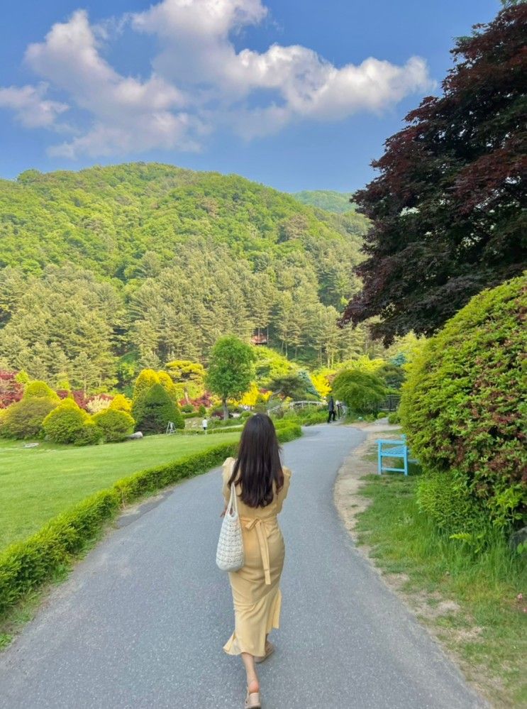 (코로나 사식일지, 아침고요수목원, 불암산 등산, 손기정 도서관)