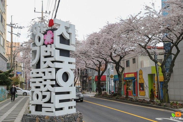 제주도 벚꽃 명소 제주 삼성혈 신산공원 제주 벚꽃