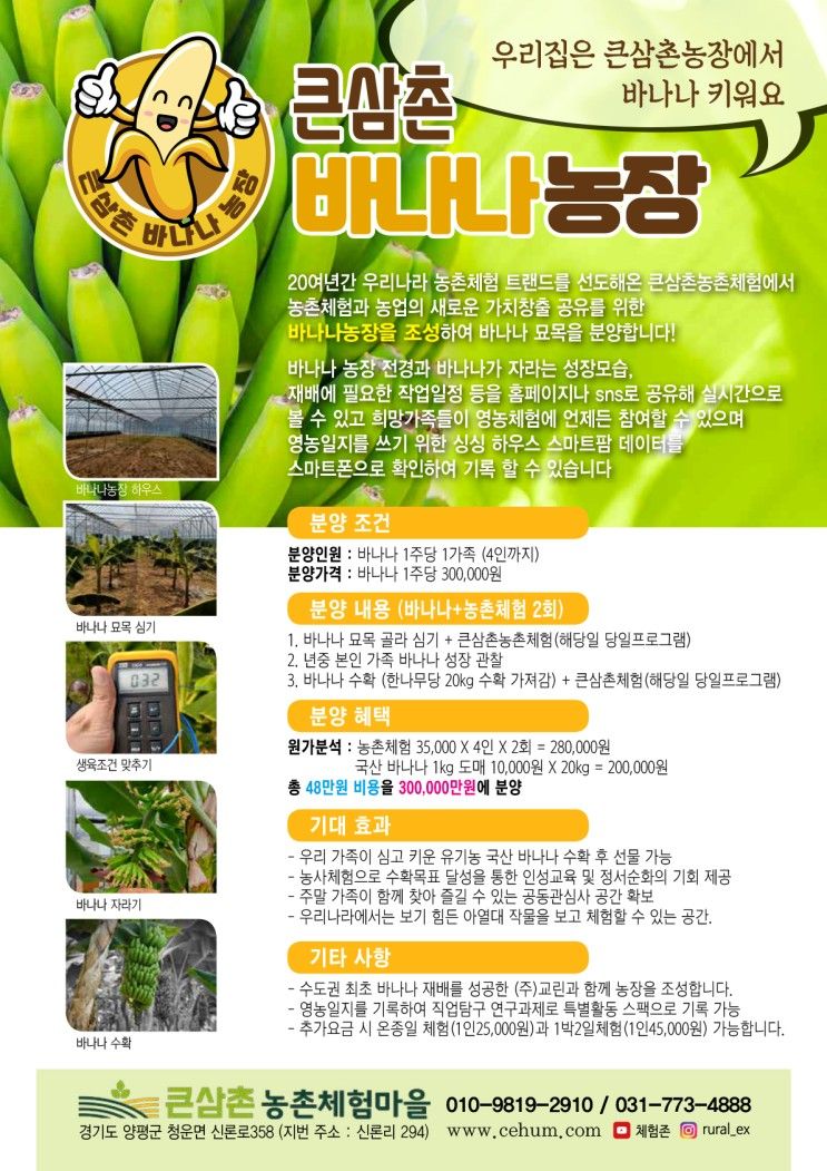 바나나 나무도 심고, 농촌체험도 하고! @큰삼촌 농촌 체험농장