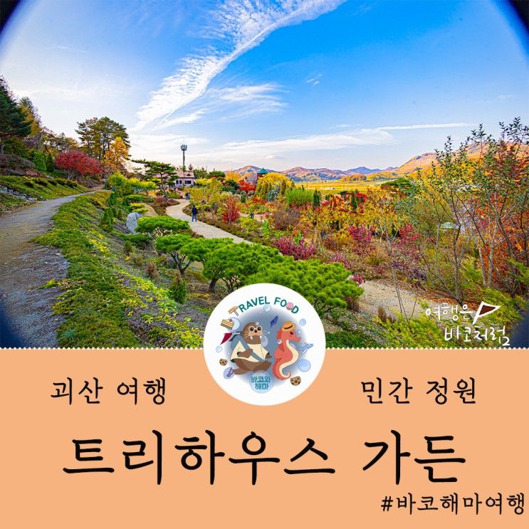 [ 괴산 여행 - 트리하우스 가든 ] 충북 가볼만한 동화같은 카페... 