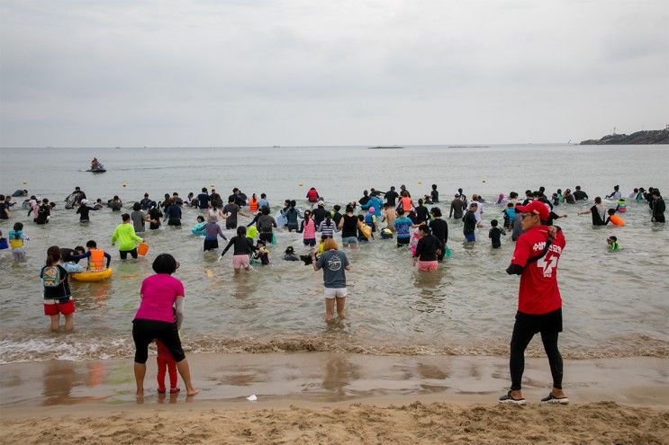 강원도 바다 봉수대 해변 백도 해수욕장 가리비 맨손잡기 축제