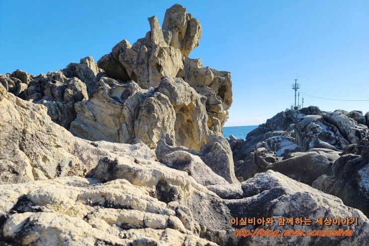 강원도 고성 가볼만한곳 백도해수욕장 옆 능파대 겨울 바다 여행