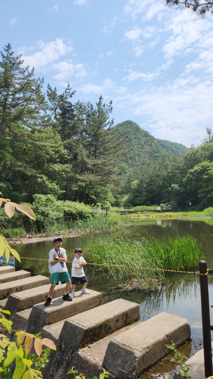 대전 계룡산국립공원, 은구비유아숲체험원, 어린이회관 :)