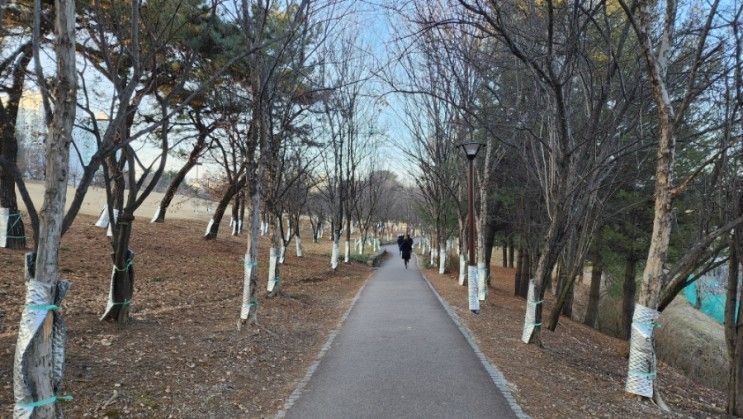 은구비역사공원 만보걷기, 은구비유아숲체험원, 관저동 유적...