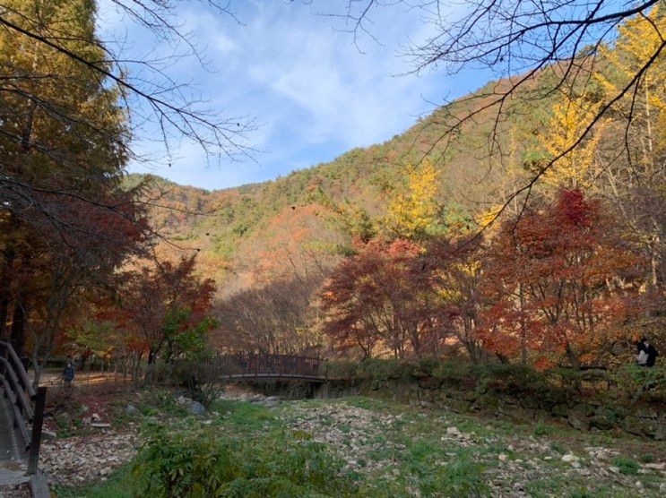 단풍놀이: 상소동 산림욕장과 은구비공원