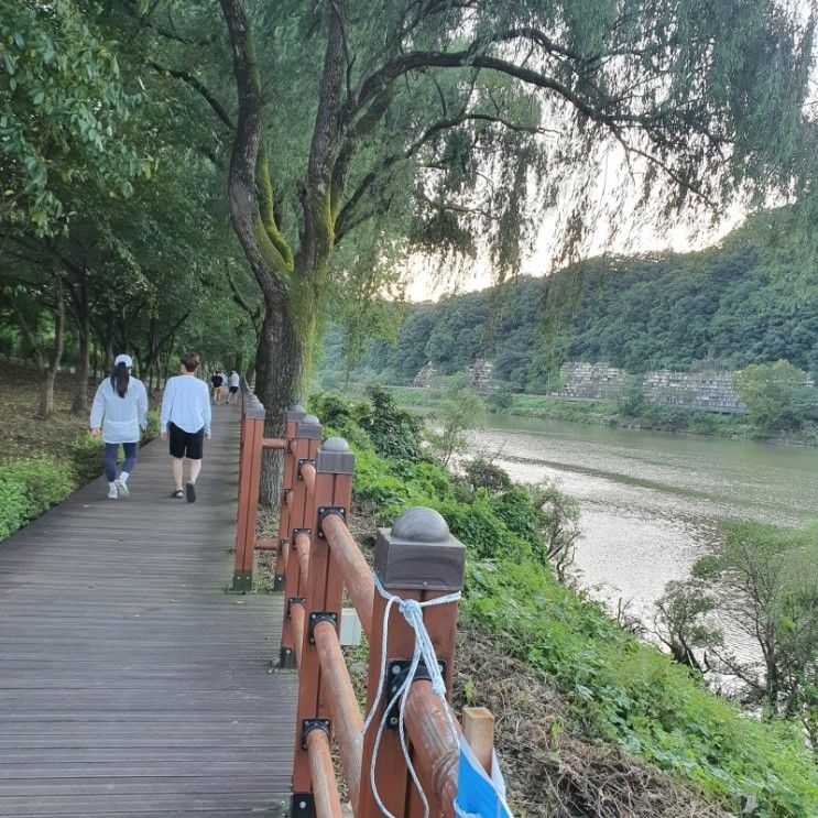 대전 가볼만한곳 :: 아이와 함께 대전 공원 나들이 추천 3곳