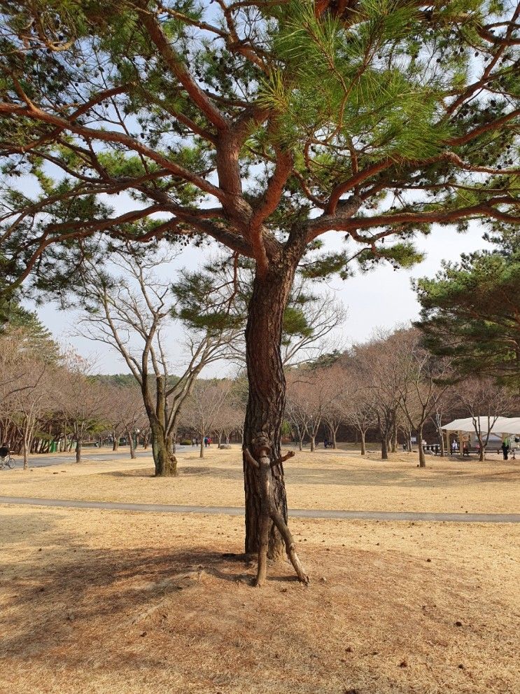 울산대공원 아기랑 가볼만한곳 장미원 동물원