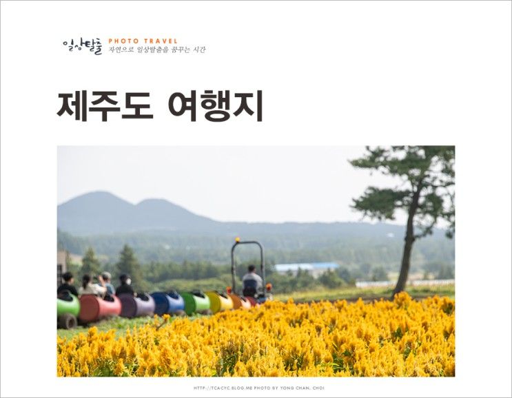 제주도 노형수퍼마켙과 제주 가볼만한곳 보롬왓