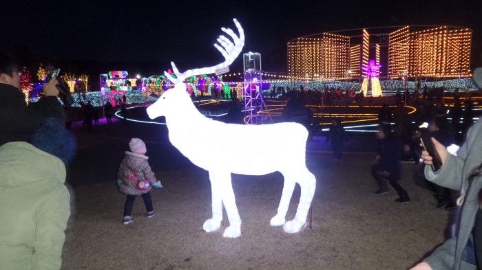 겨울축제 : 울산대공원 장미원 빛축제