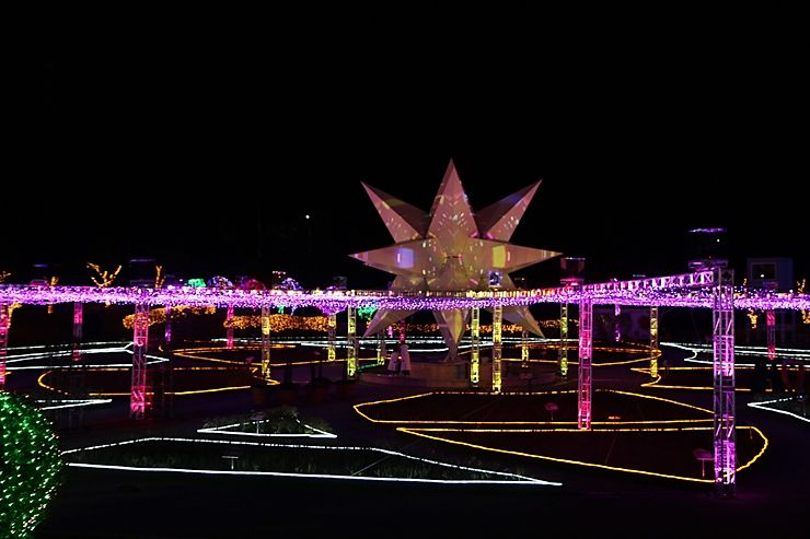 울산대공원 남문 장미원 빛축제 2018 : 별빛, 꿈을 그리다