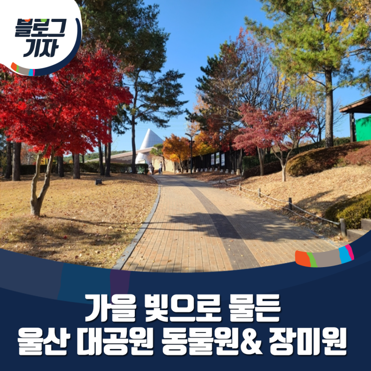 [블로그 기자] 울산 대공원 동물원& 장미원