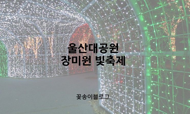 [울산/데이트] 울산대공원 제2회 장미원 빛축제, 여긴 꼭 가야해!
