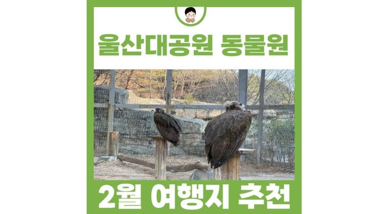 2월 국내여행지 추천 울산대공원 동물원 장미원 체험