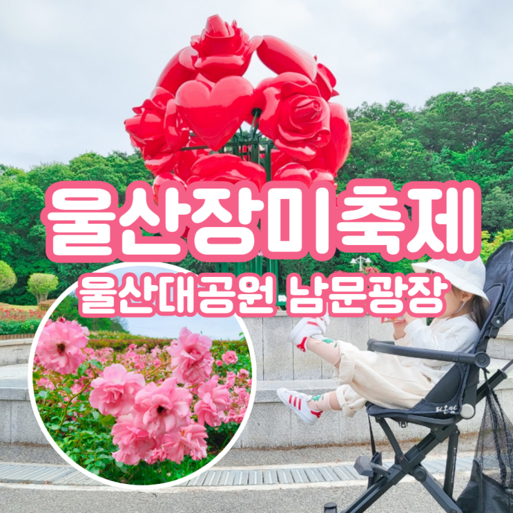 울산 장미축제 울산대공원 장미원 축제위치 장미공원