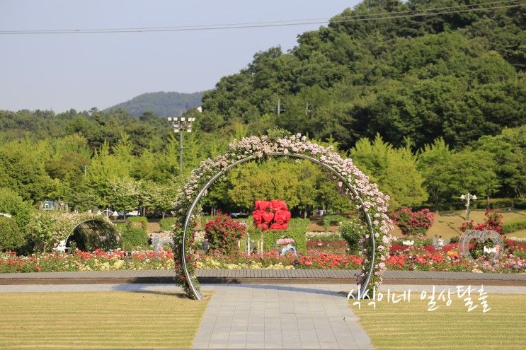 울산대공원 장미원&동물원