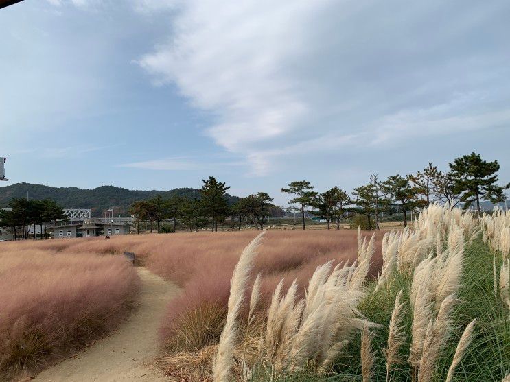 울진 갈만한 곳 왕피천공원 아쿠아리움 곤충여행관 볼거리 가득