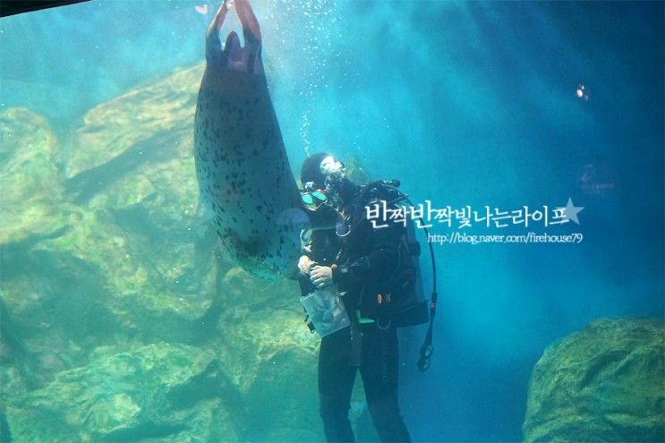 울진 엑스포공원 , 아쿠아리움 , 곤충여행관 , 동물농장