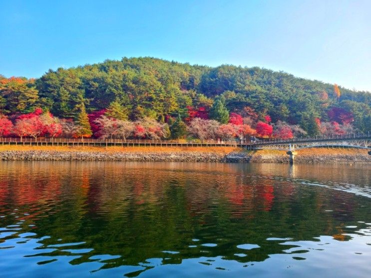 안동여행코스 추천 <문보트> - 안동 월영교 근처 놀거리