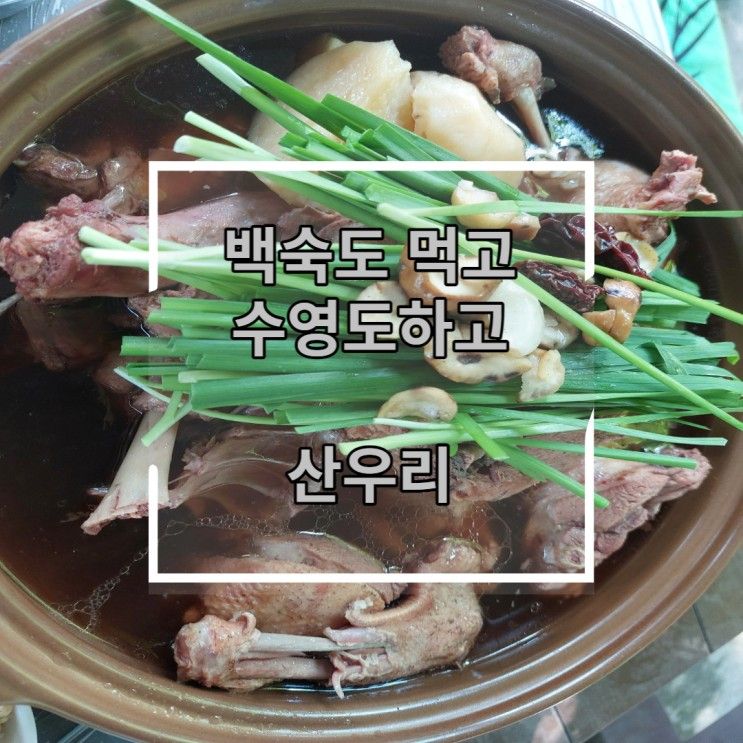 남한산성 근처 백숙도 먹고 수영장도 가고. 산우리