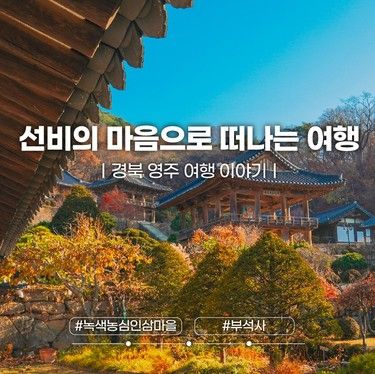 경북 영주 가볼 만한 곳, 부석사, 선비세상, 영주 대표...