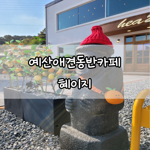 예산 애견동반카페 제주 느낌이 나는 카페 [혜이지] 방문 후기