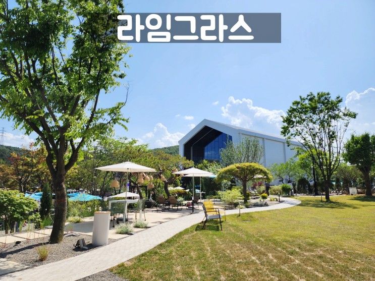 용인 신상 대형카페 데이트코스로 좋은 라임그라스