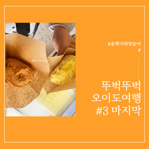 오이도뚜벅이여행 둘째 날, 셋째 날 (초당옥도나스, 커푸카페...