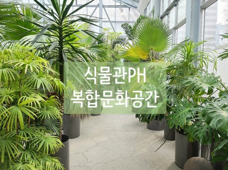 식물관PH 유퀴즈 촬영장소 강남 복합문화공간 전시 :-)
