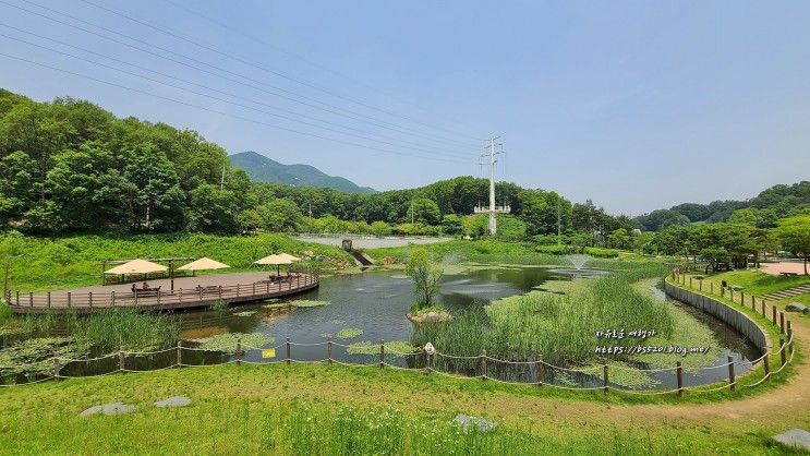 경기도 가볼만한곳 군포 반월호수공원, 초막골생태공원