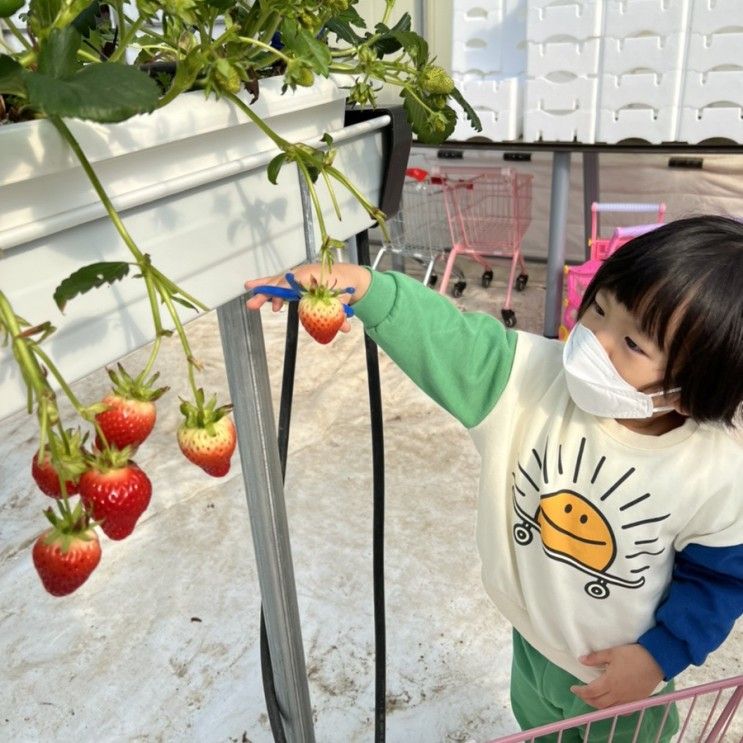 [예산]달보드레