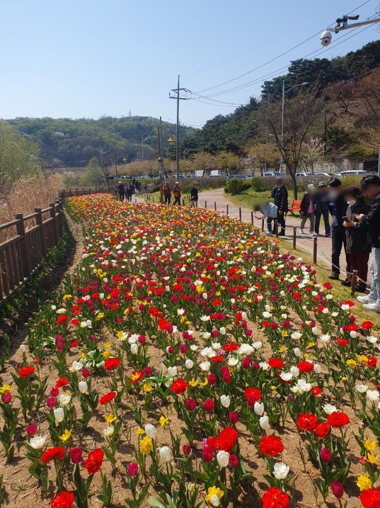 군포 반월호수공원 / 반월호수둘레길 나들이 산책명소